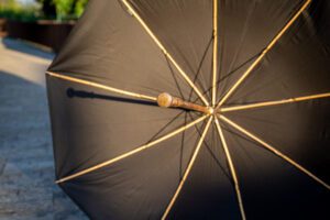 LE PARAPLUIE DU BERGER NOIR